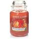 Yankee Candle Spiced Orange Test