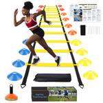 Ygortech Koordinationsleiter