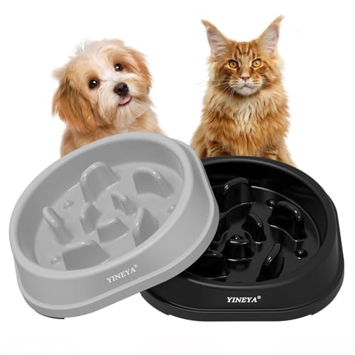 Anti-Schling-Napf Katze: Top 10 Test & Vergleich
