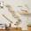Yitahome Katzen Kletterwand