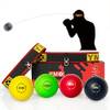 YMX BOXING Reflexball