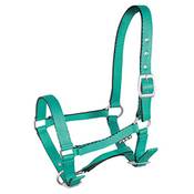 York Mini Halfter Vergleich