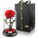 YourRoses - Ziegler&Ribant Premium Rose