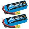 Yowoo Power 6S Lipo Akku
