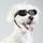 Ysqevn Sonnenbrille