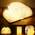 Yuanj LED Buchlampe