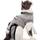 Yuhtech Katzenbody