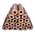 Z4l 4D-BAUME-20 Kg-Pinikay-005