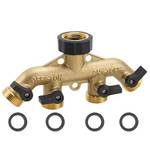 Zazafolora ‎HY-STQF