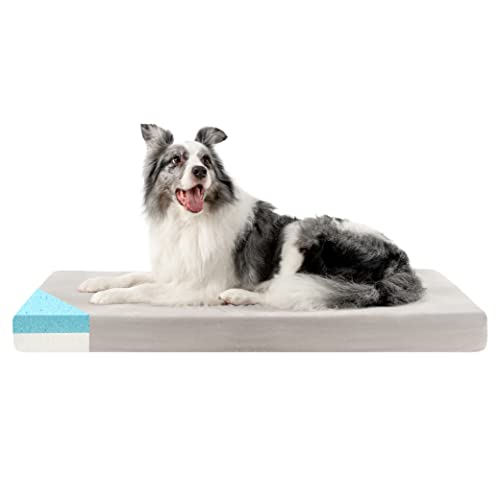 Orthopädisches Hundebett Mit Visco-Schaum – Entlastung Für Gelenke & Rücken