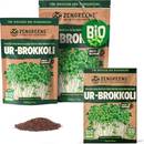 Zengreens Bio Ur-Brokkoli Sprossen Samen