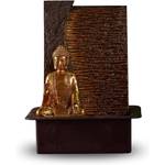 Zen'Light SCFR2009