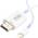 Zestiq Lightning auf HDMI-Kabel