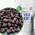 Zingy Zoo Gefriergetrocknete Heidelbeeren