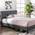 Zinus Polsterbett Lottie