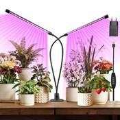 Zixunix Pflanzenlampe Vergleich