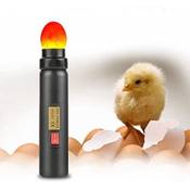 ZJchao Led Lampe Ei Candler