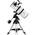 Zoomion Genesis 200/800 EQ-4