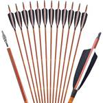 Zshjgjr Carbon Pfeile