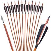 Zshjgjr Carbon Pfeile