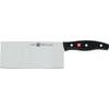 Zwilling Twin Pollux