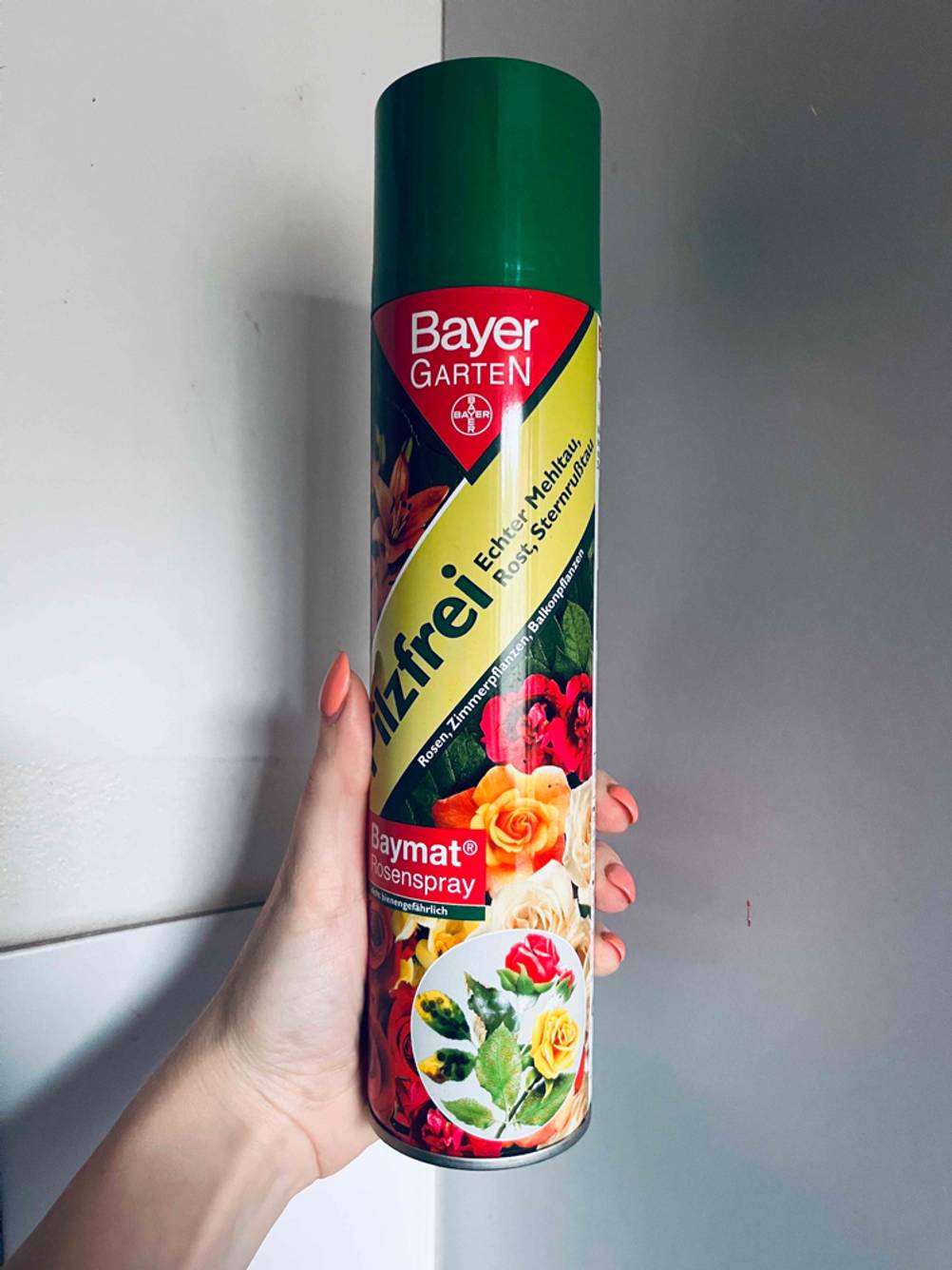 Eine Hand hält eine Dose getestetes Rosen-Pilzfrei vor eine helle Wand.