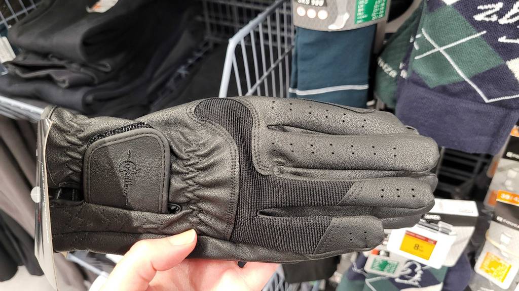 Reithandschuhe-Test: Ein Handschuh der getesteten Reithandschuhe wird in der Hand gehalten.