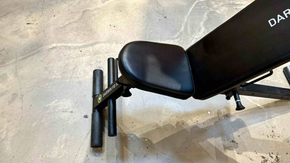 Sitzfläche der getesteten Sit-up-Bank im Fokus.