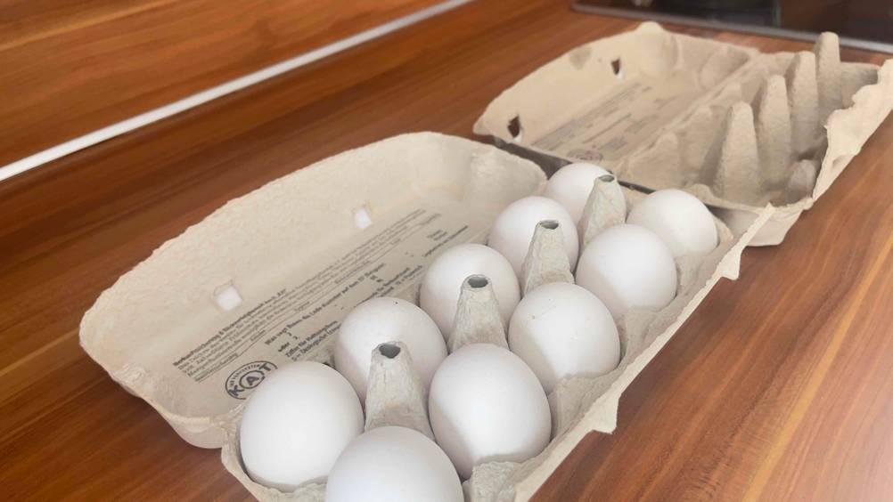 Ein befüllter Eierkarton, der getestet wurde, steht neben einem leeren Eierkarton.