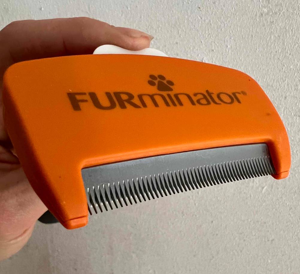 Hundebürste getestet: Nahaufnahme der Zinken.