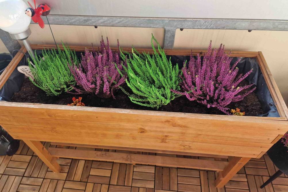 Auf einem Balkon steht ein getestetes Hochbeet (Balkon) auf einer Holzoberfläche.