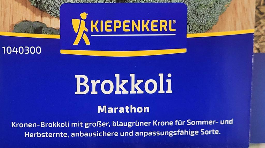 Nahaufnahme der Verpackung der getesteten Brokkoli-Samen mit Informationen zum Produkt.