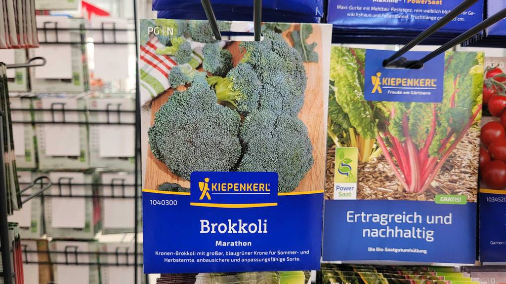 Verpackungen von getesteten Brokkoli-Samen hängen in einem Regal.