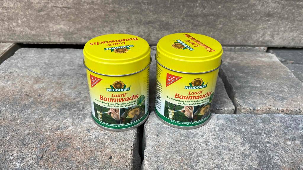 Zwei Dosen getestetes Baumwachs stehen auf einem Steinboden