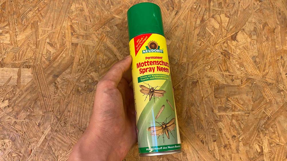 Mottenspray getestet: Eine Hand hält eine Dose vor eine Holzfläche