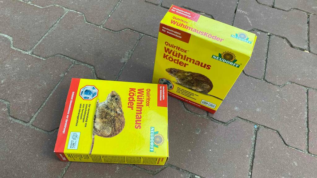Wühlmausköder getestet: Zwei Packung der Köder auf einem Steinboden nebeneinander, eine stehend, eine liegend