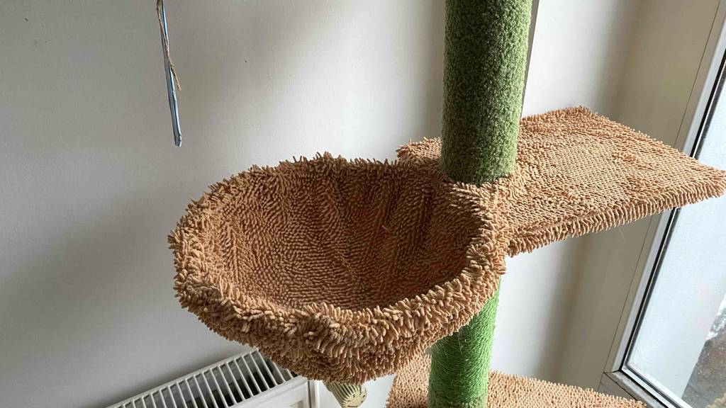 Kratzbaum-deckenhoch im Test: Körbchen eines Kratzbaumes im Fokus.