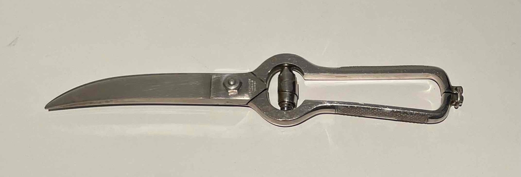 Geflügelschere-Test: Eine Geflügelschere aus rostfreiem Edelstahl auf weißem Untergrund.