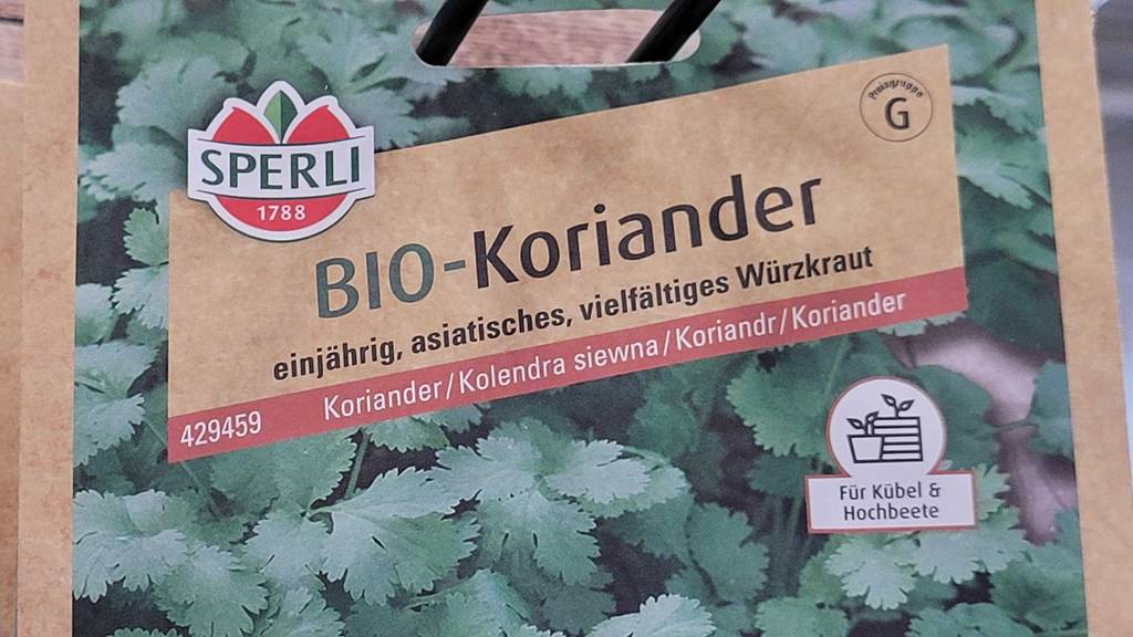 Nahaufnahme der Verpackung von getesteten Koriandersamen, die Bio-Qualität haben.
