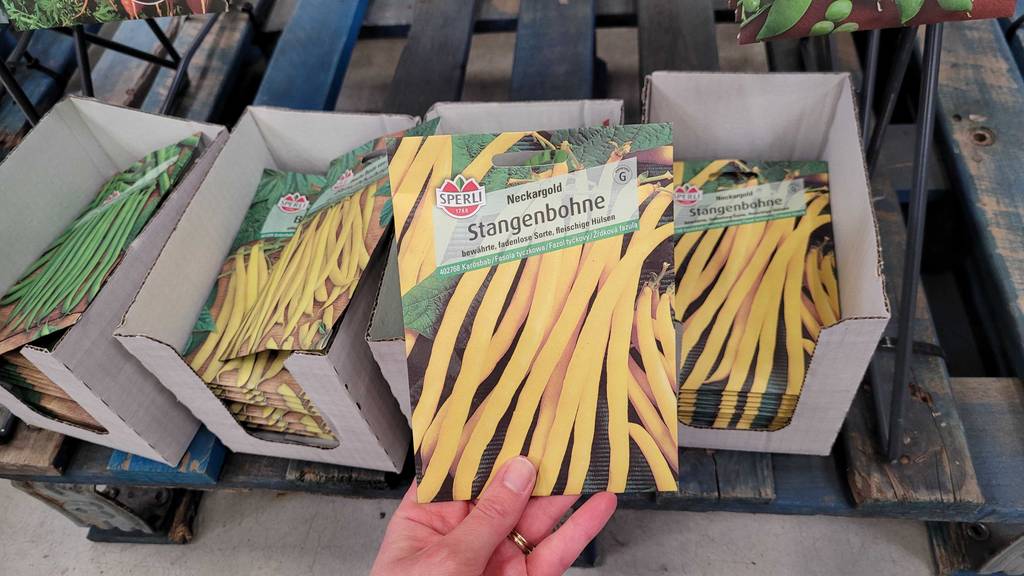 Stangenbohnen-Samen-Test: Eine Packung der Stangenbohnen wird vor den Kartons gehalten, worin sich weitere Packungen befinden.