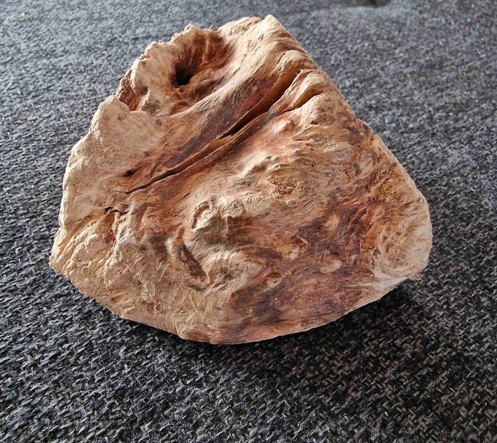 Zahnpflege-Hund im Test: eine Kauwurzel auf einer grauen Sitzfläche platziert.