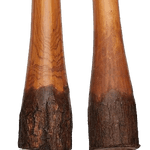 didgeridoo jagdfruchtbaum