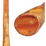 Didgeridoo aus Eukalyptus