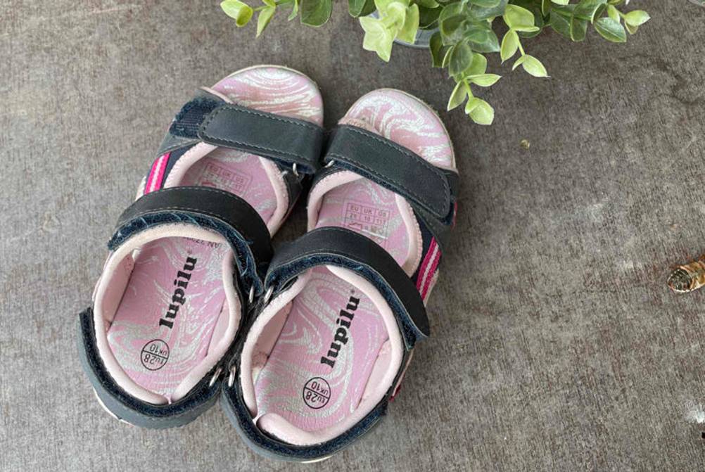 Kindersandalen mit einer Pflanze zu sehen.