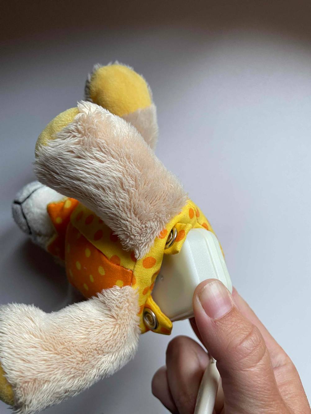 Spieluhr mit Spielwerk zu sehen.