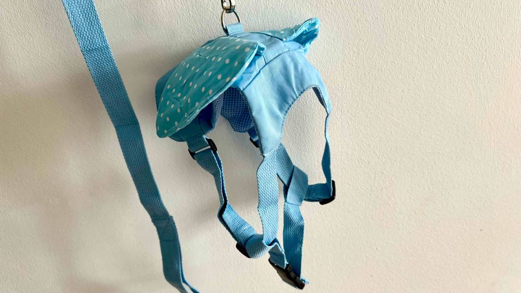 Test: eine Kinderleine in der Farbe blau wird vor einer Wand gehalten.