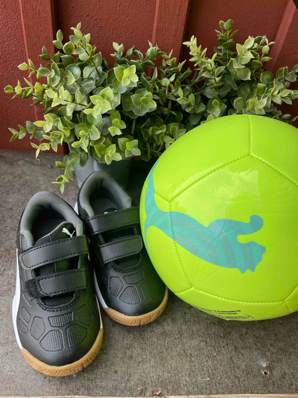 Neben einem Fußball und einer Pflanze stehen getestete Hallenfußballschuhe.