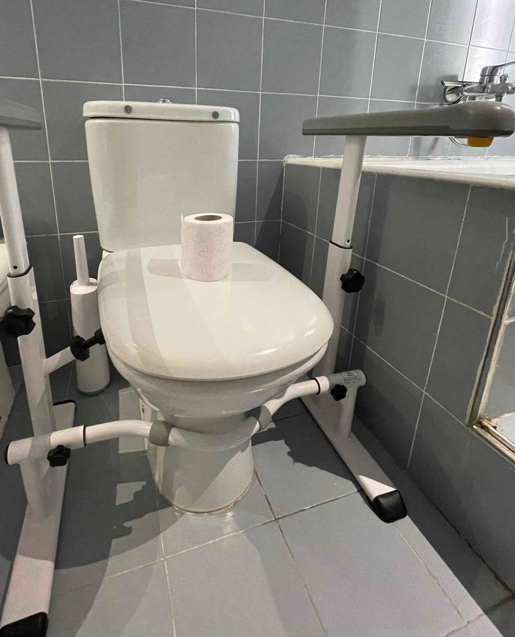 WC-Aufstehhilfe im Test: Rechts und links an einer Toilette ist eine Aufstehhilfe montiert
