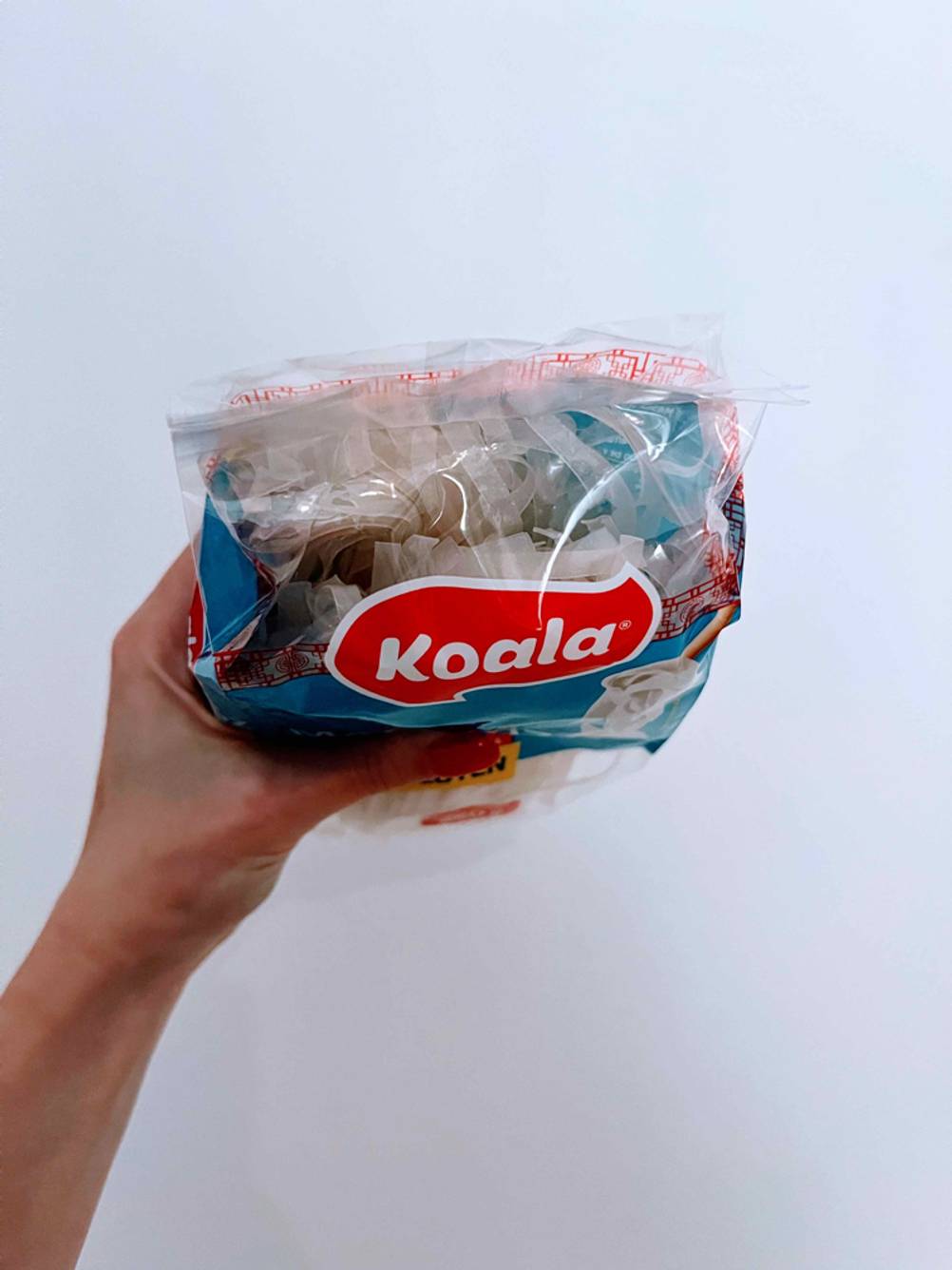 Im Test: Eine Hand hält die obere Seite der Packung von Konjak-Nudeln vor eine helle Wand.