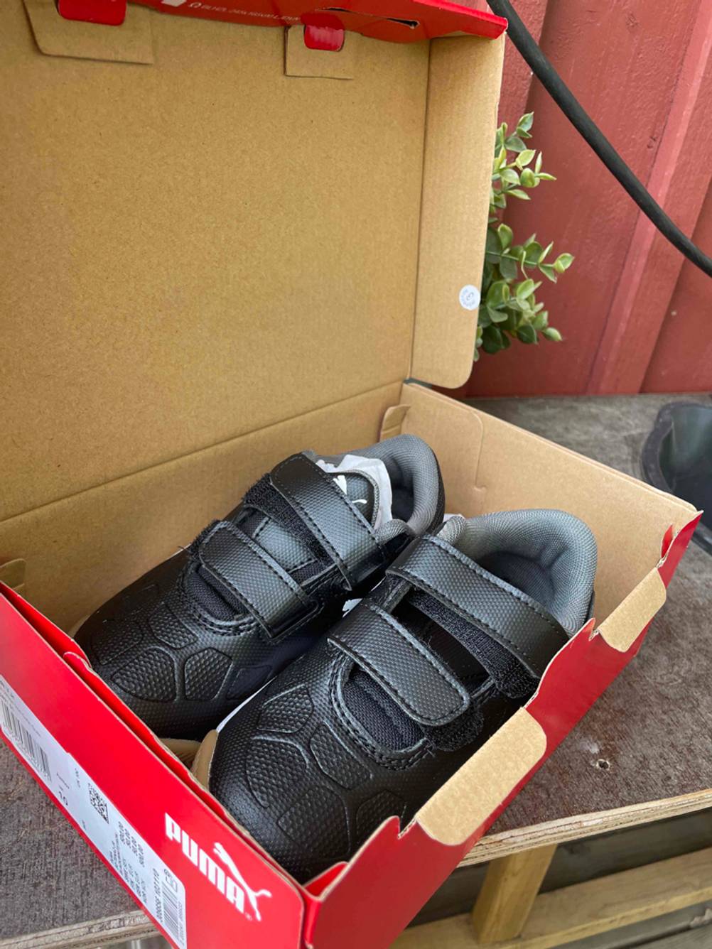 Im Test: Ein Paar Hallenfußballschuhe in ihrem Originalkarton stehend.